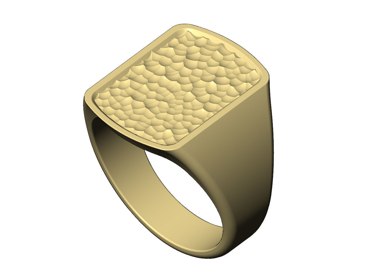 Dog tag signet with hammered textured top US sizes 6to9 3D print model_6