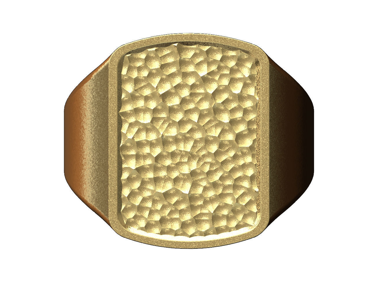 Dog tag signet with hammered textured top US sizes 6to9 3D print model_5