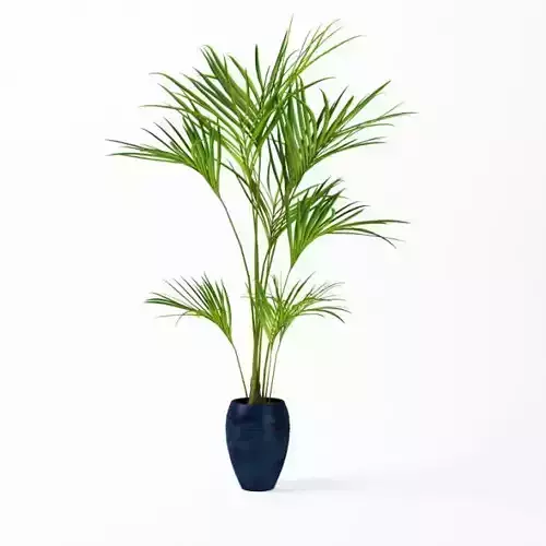 Tropical Plant In Blue Pot