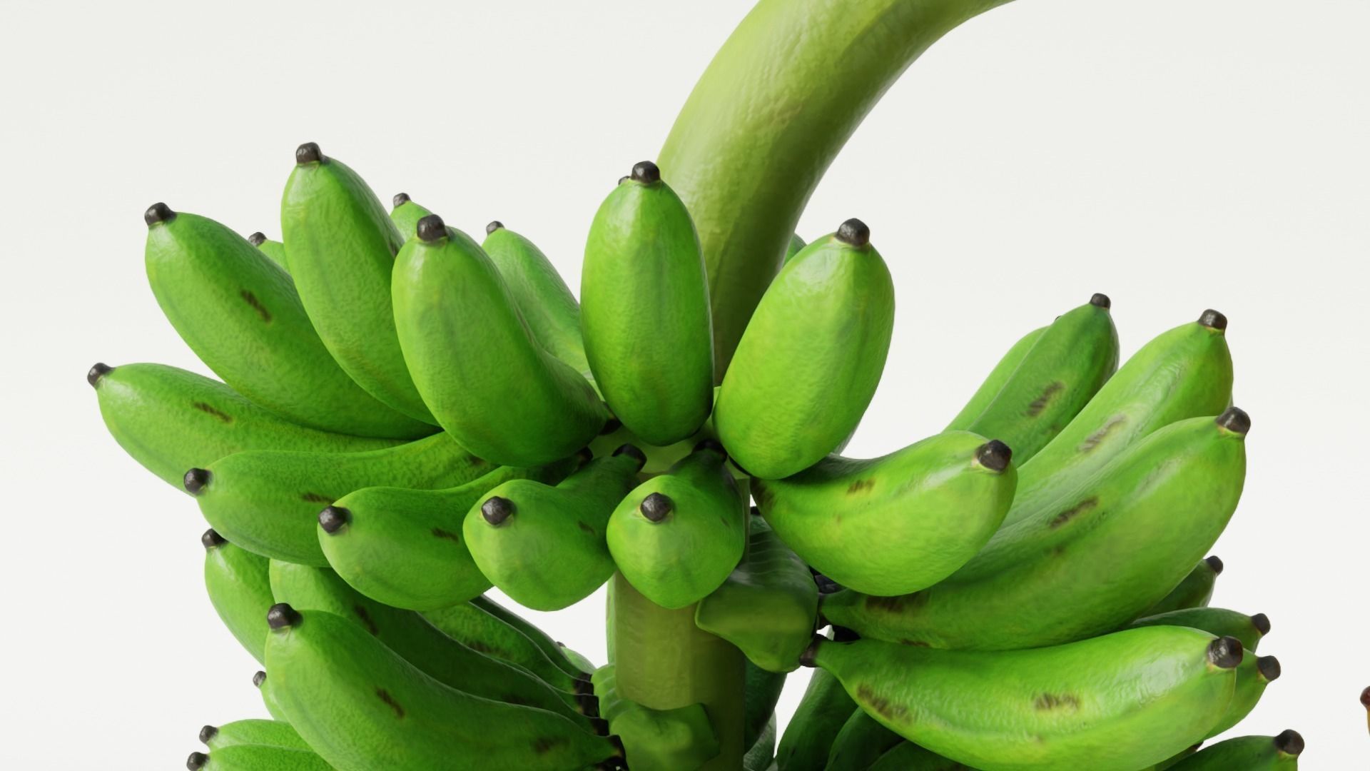 GREEN AND YELLOW BANANAS Low-poly 3D model_2