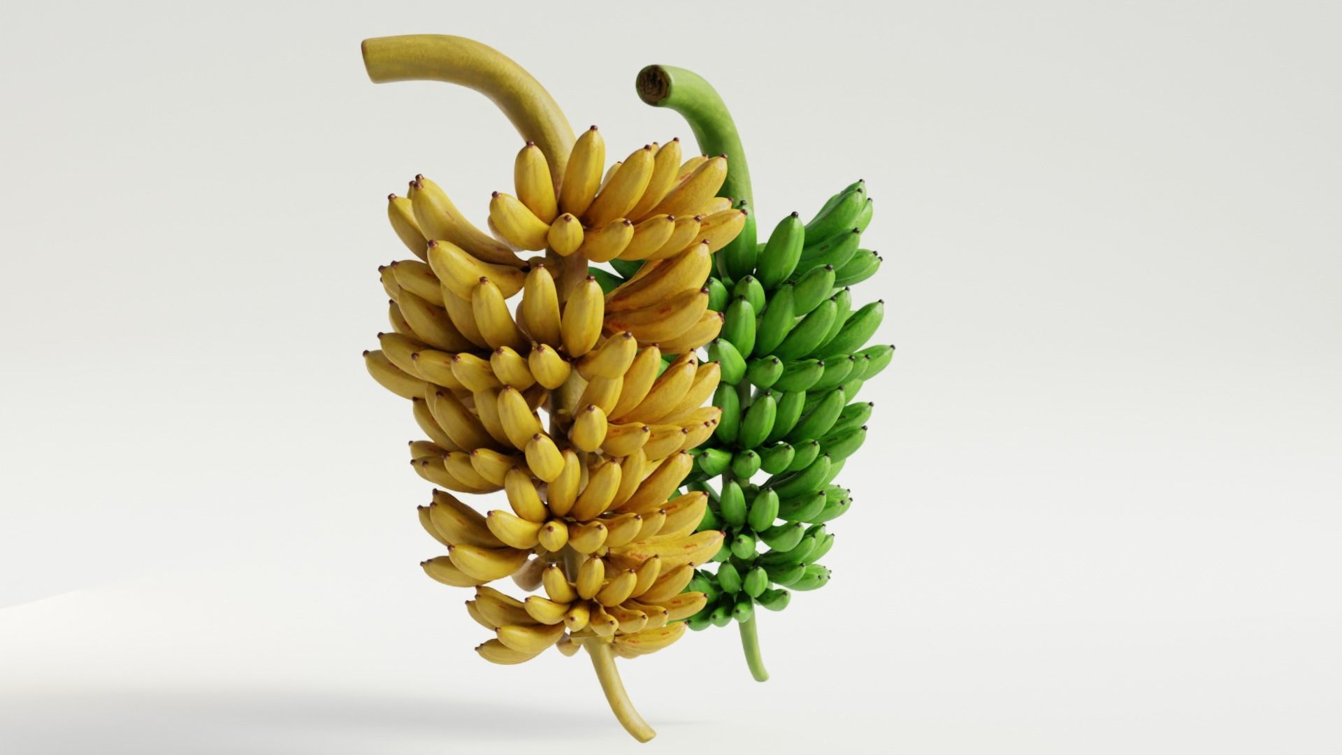 GREEN AND YELLOW BANANAS Low-poly 3D model_9