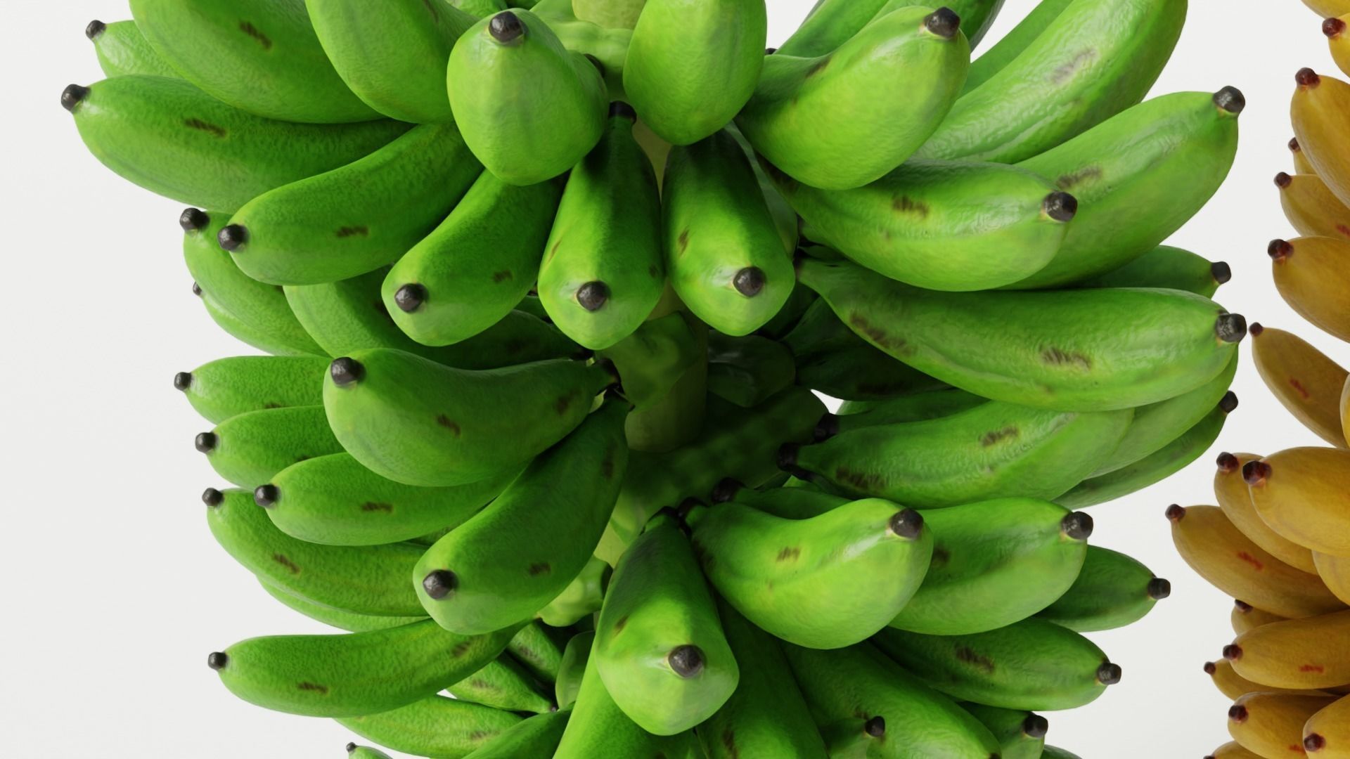 GREEN AND YELLOW BANANAS Low-poly 3D model_11