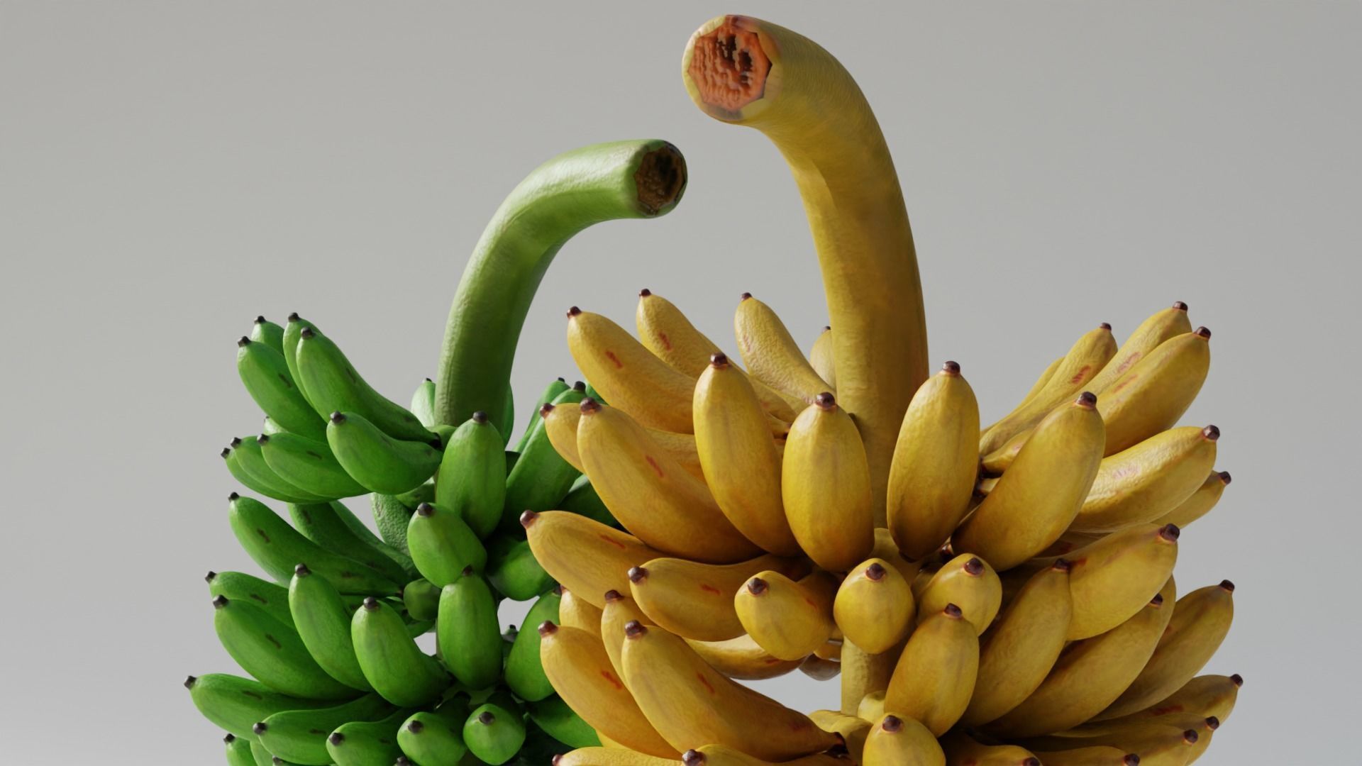 GREEN AND YELLOW BANANAS Low-poly 3D model_8