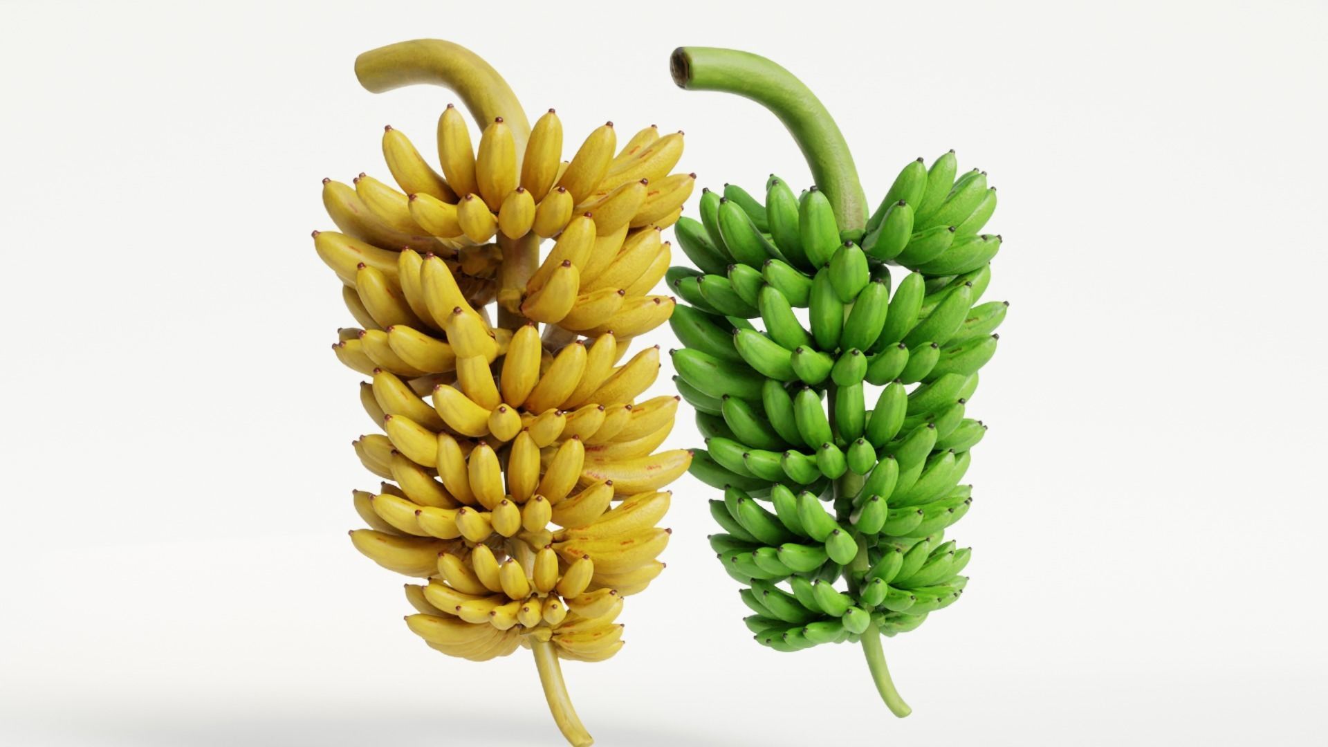 GREEN AND YELLOW BANANAS Low-poly 3D model_10