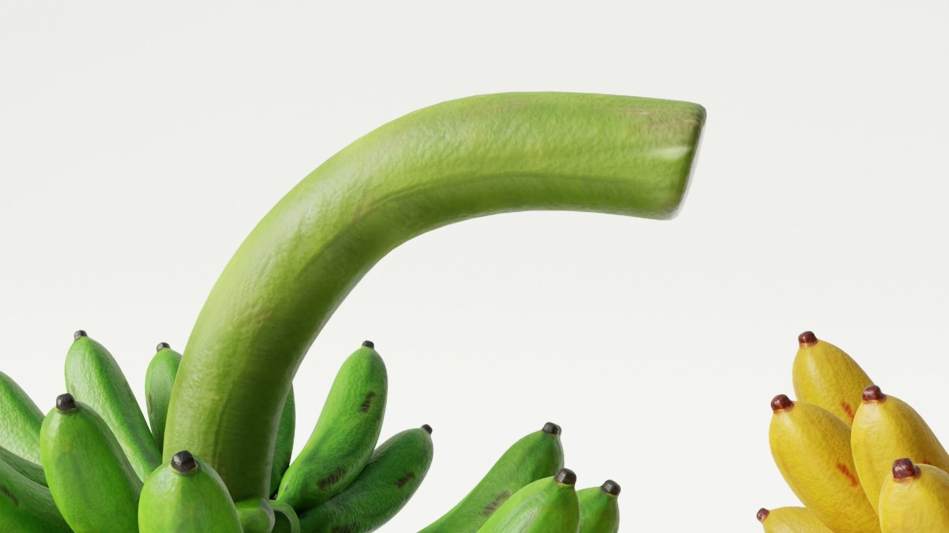 GREEN AND YELLOW BANANAS Low-poly 3D model_3