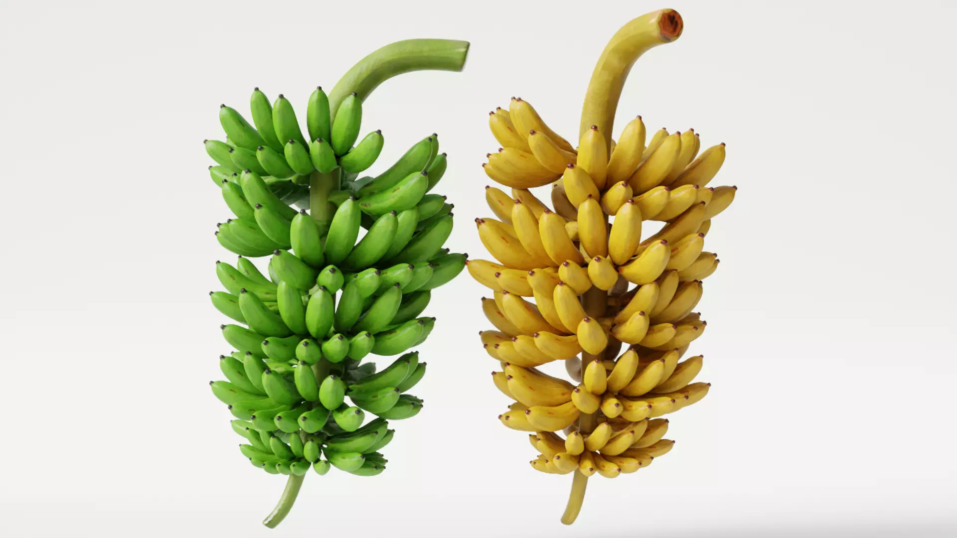 GREEN AND YELLOW BANANAS Low-poly 3D model_0