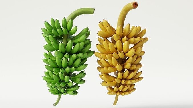 GREEN AND YELLOW BANANAS Low-poly 3D model
