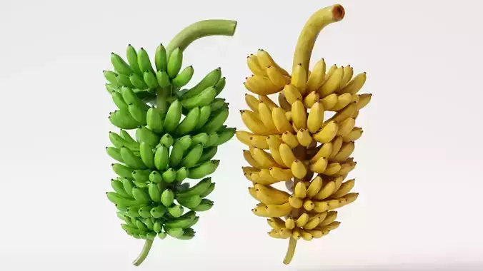 GREEN AND YELLOW BANANAS Low-poly 3D model