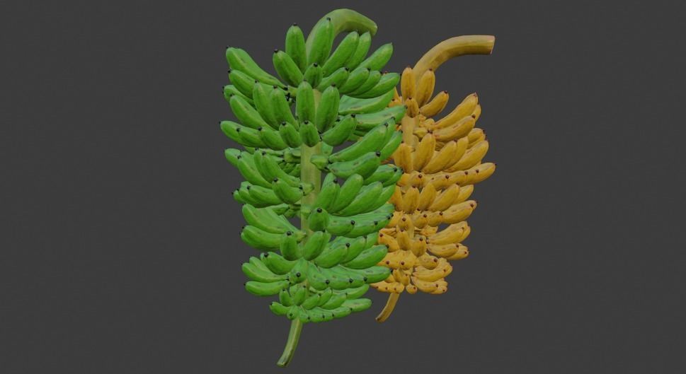GREEN AND YELLOW BANANAS Low-poly 3D model_21