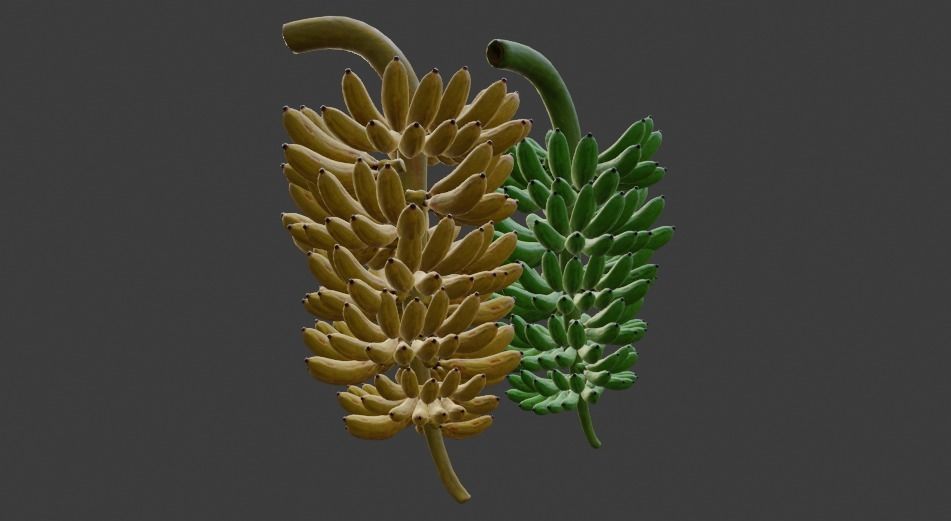 GREEN AND YELLOW BANANAS Low-poly 3D model_20