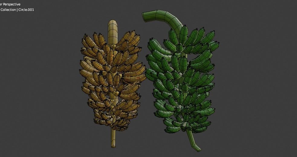 GREEN AND YELLOW BANANAS Low-poly 3D model_12