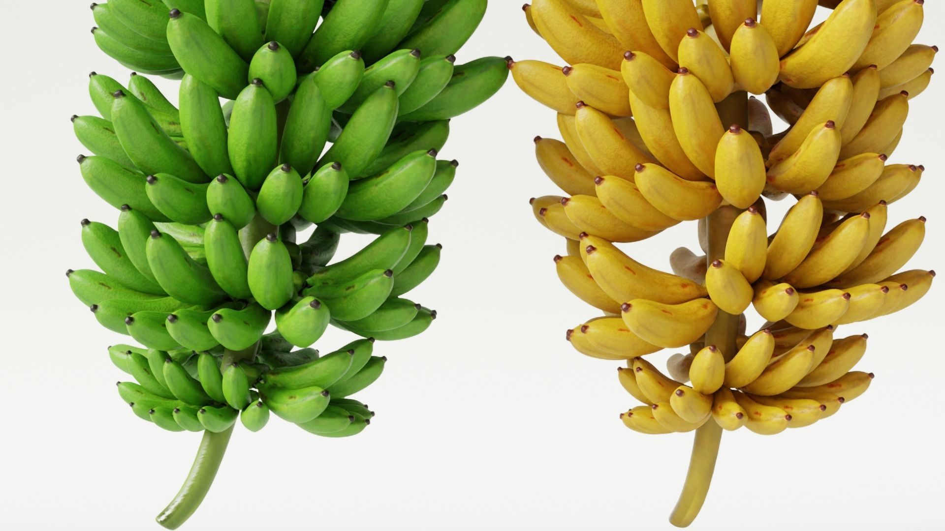 GREEN AND YELLOW BANANAS Low-poly 3D model_7