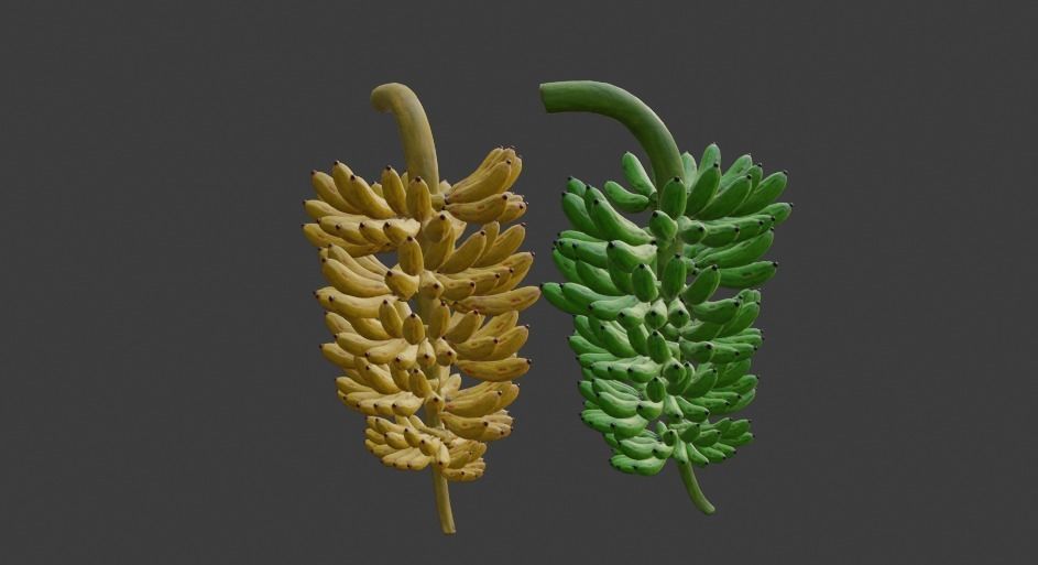 GREEN AND YELLOW BANANAS Low-poly 3D model_19