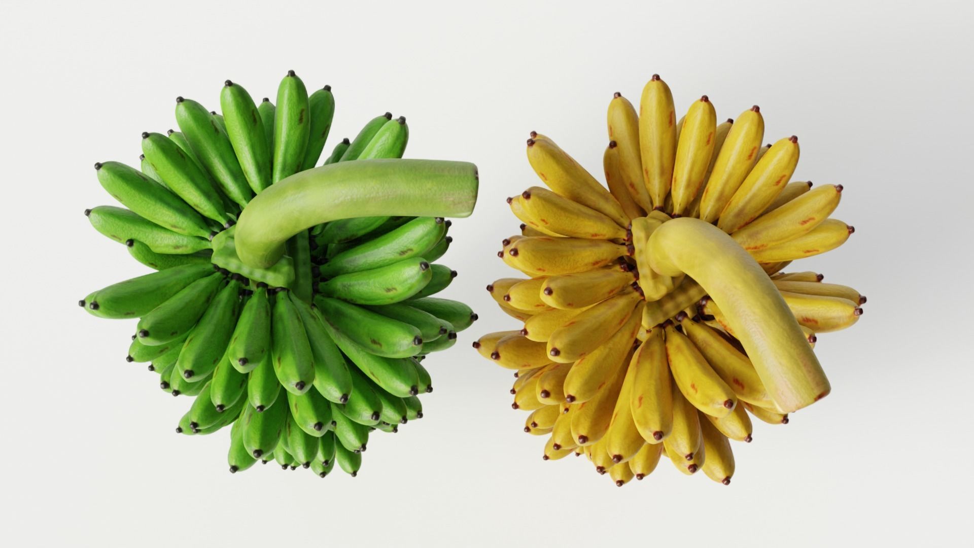 GREEN AND YELLOW BANANAS Low-poly 3D model_6