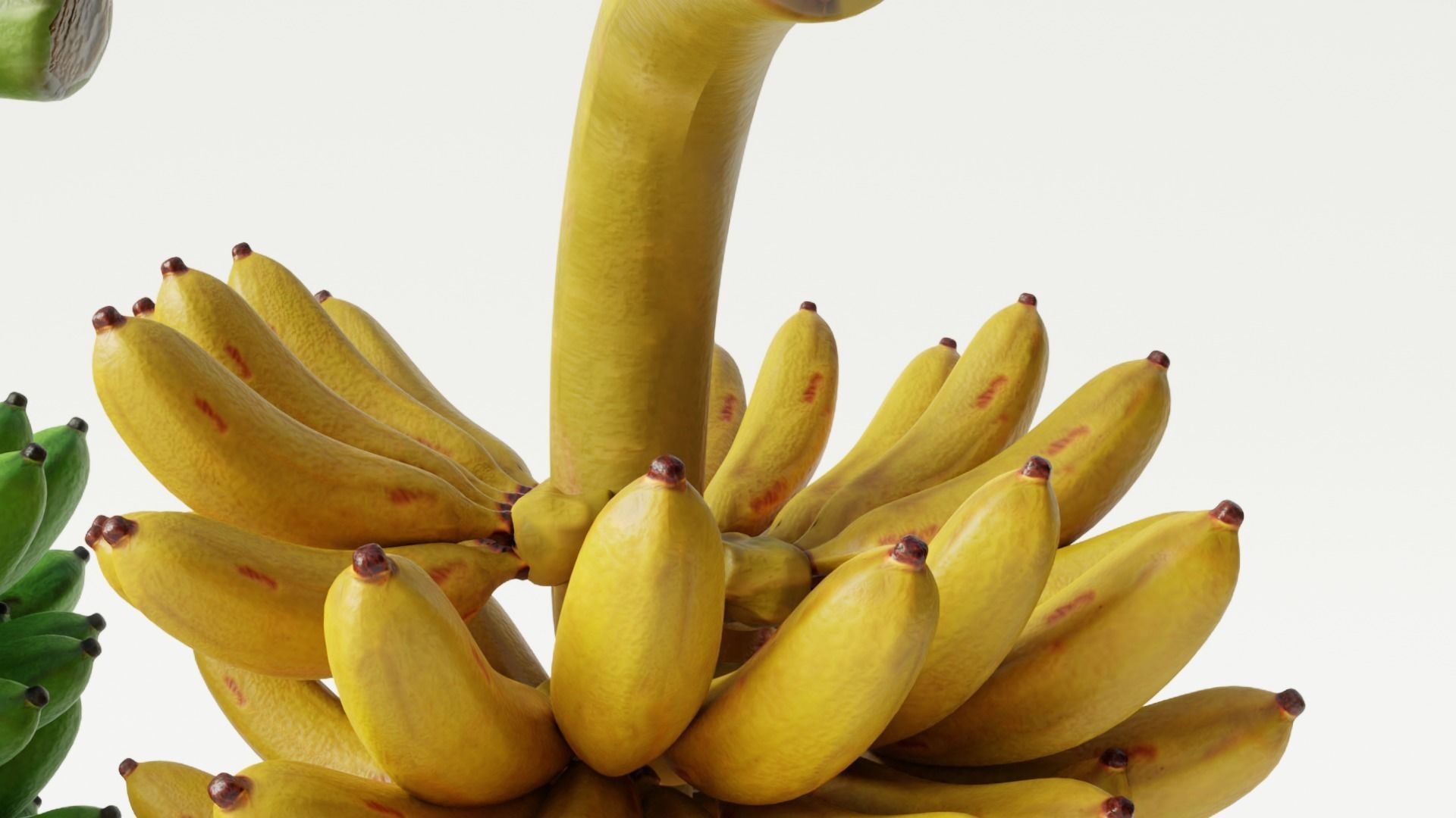 GREEN AND YELLOW BANANAS Low-poly 3D model_4