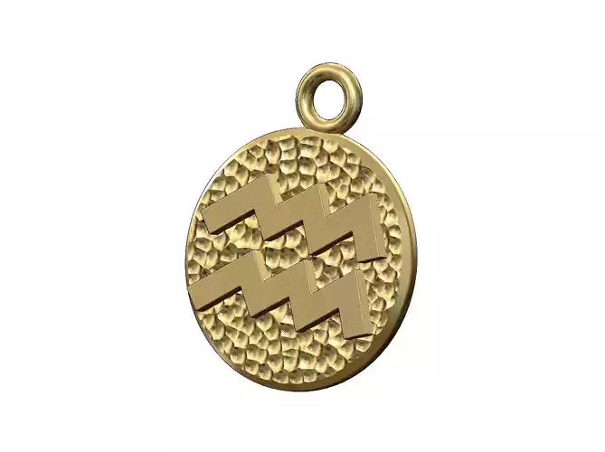 Aquarius sign coin pendant and charm