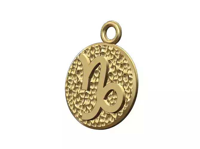 Capricorn sign coin pendant and charm