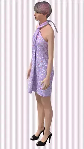 Ladies Halter Neck Dress