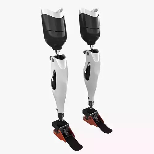 Mechanical Prosthetic Leg 3D model