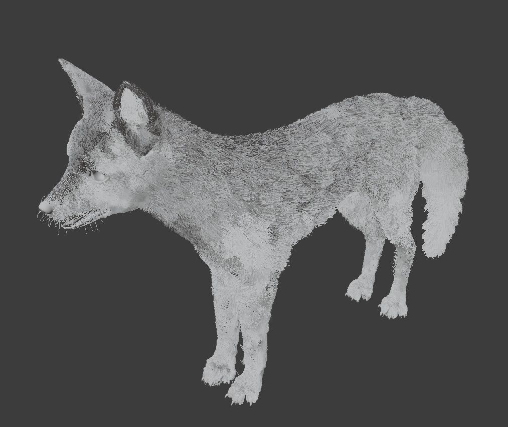 Fox Animal Low-poly 3D model_6