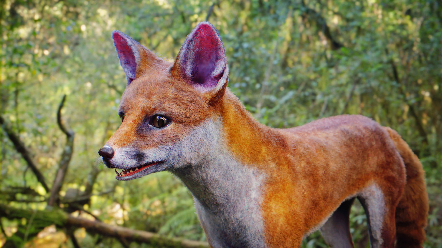 Fox Animal Low-poly 3D model_3