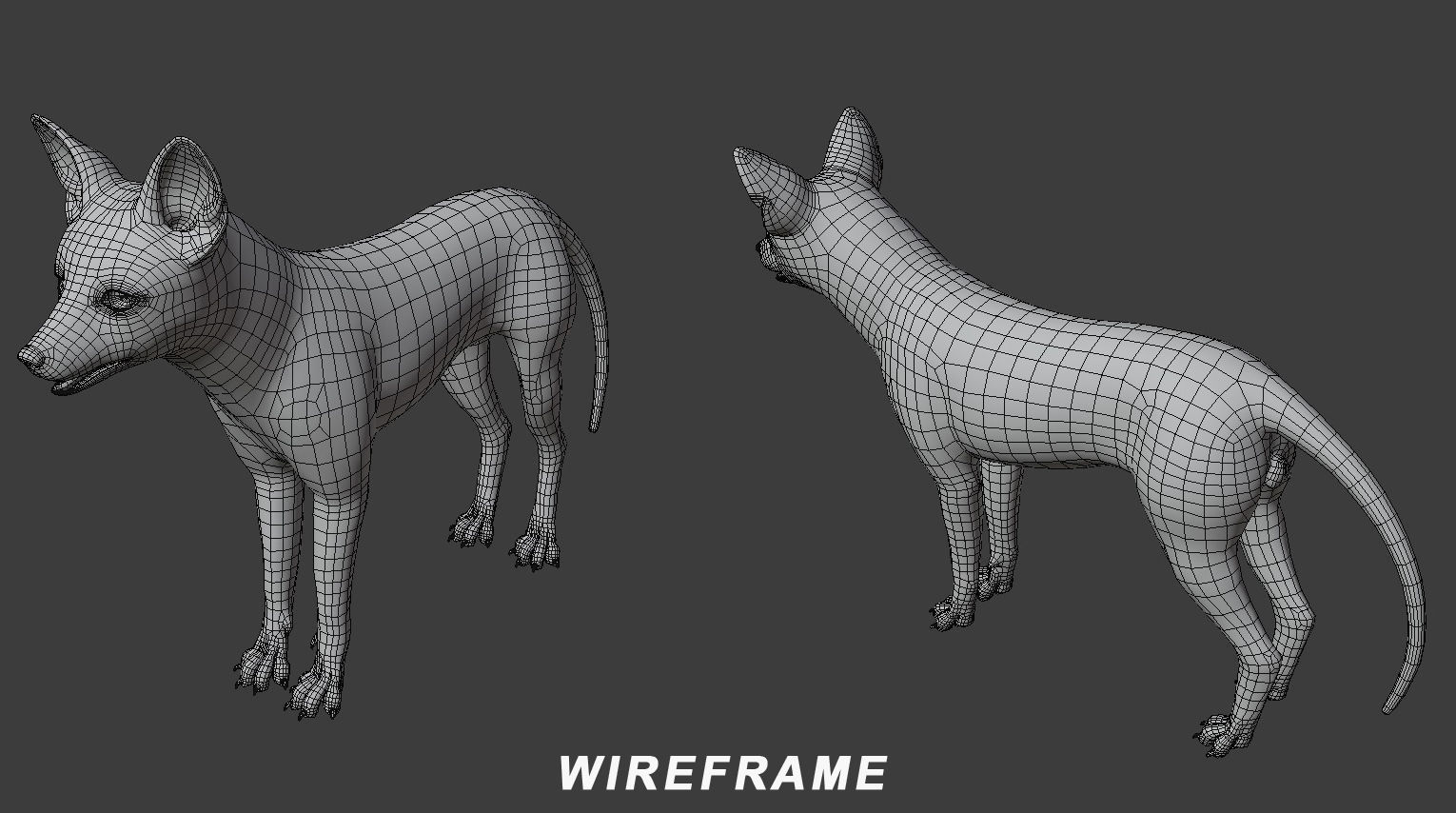 Fox Animal Low-poly 3D model_5