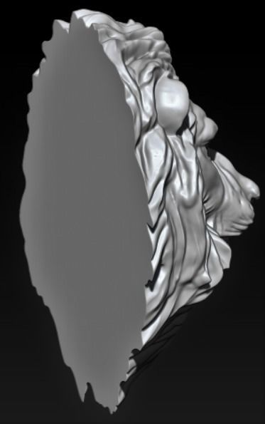 The lion animal 3D print model_7