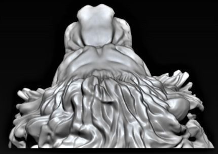 The lion animal 3D print model_8