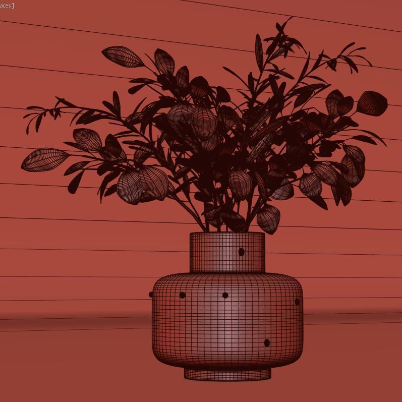 bouquet of eucalyptus and olive branch 3D model_6