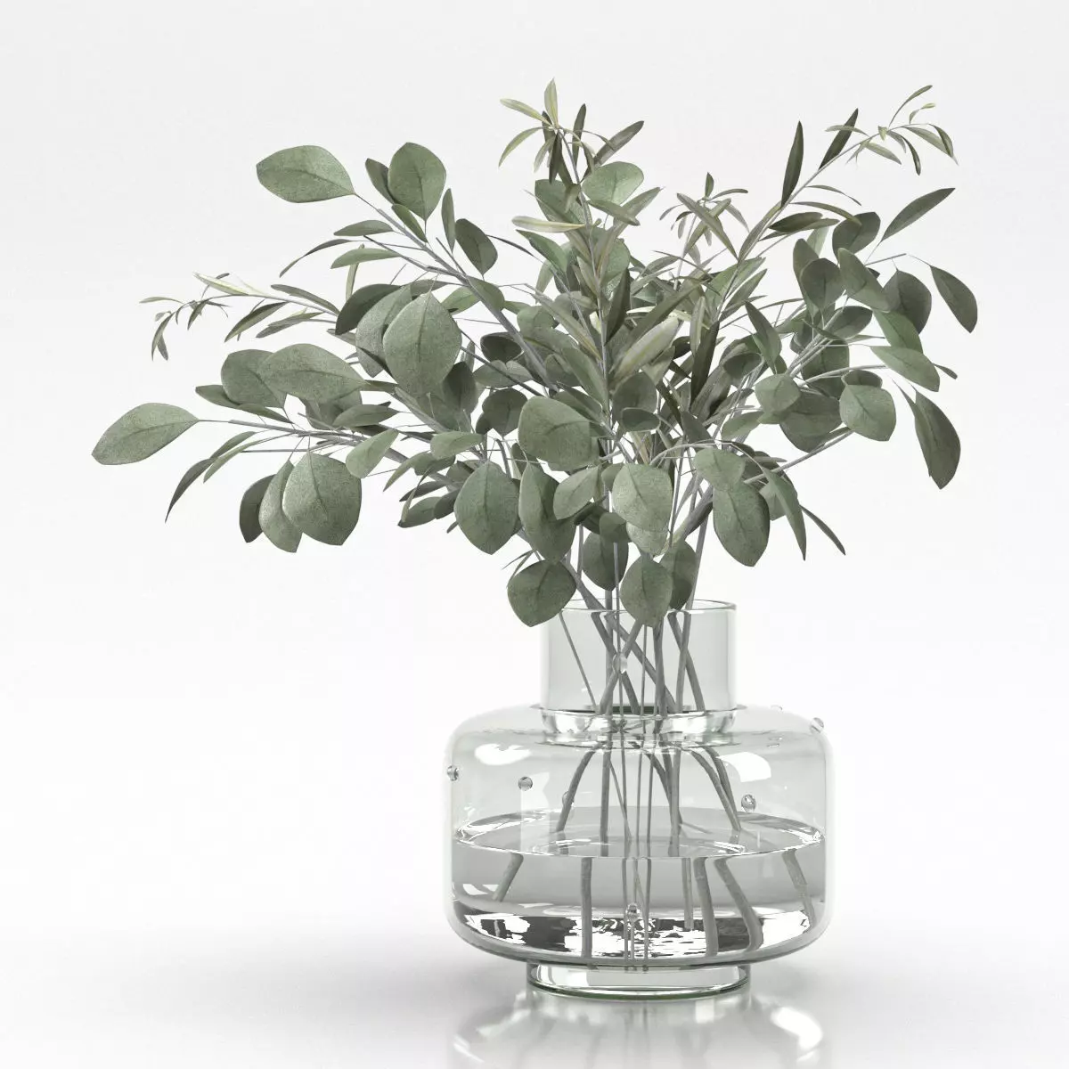 bouquet of eucalyptus and olive branch 3D model_0