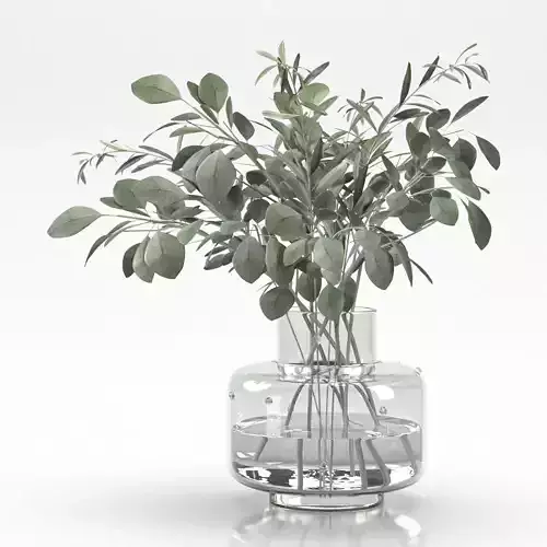 bouquet of eucalyptus and olive branch 3D model