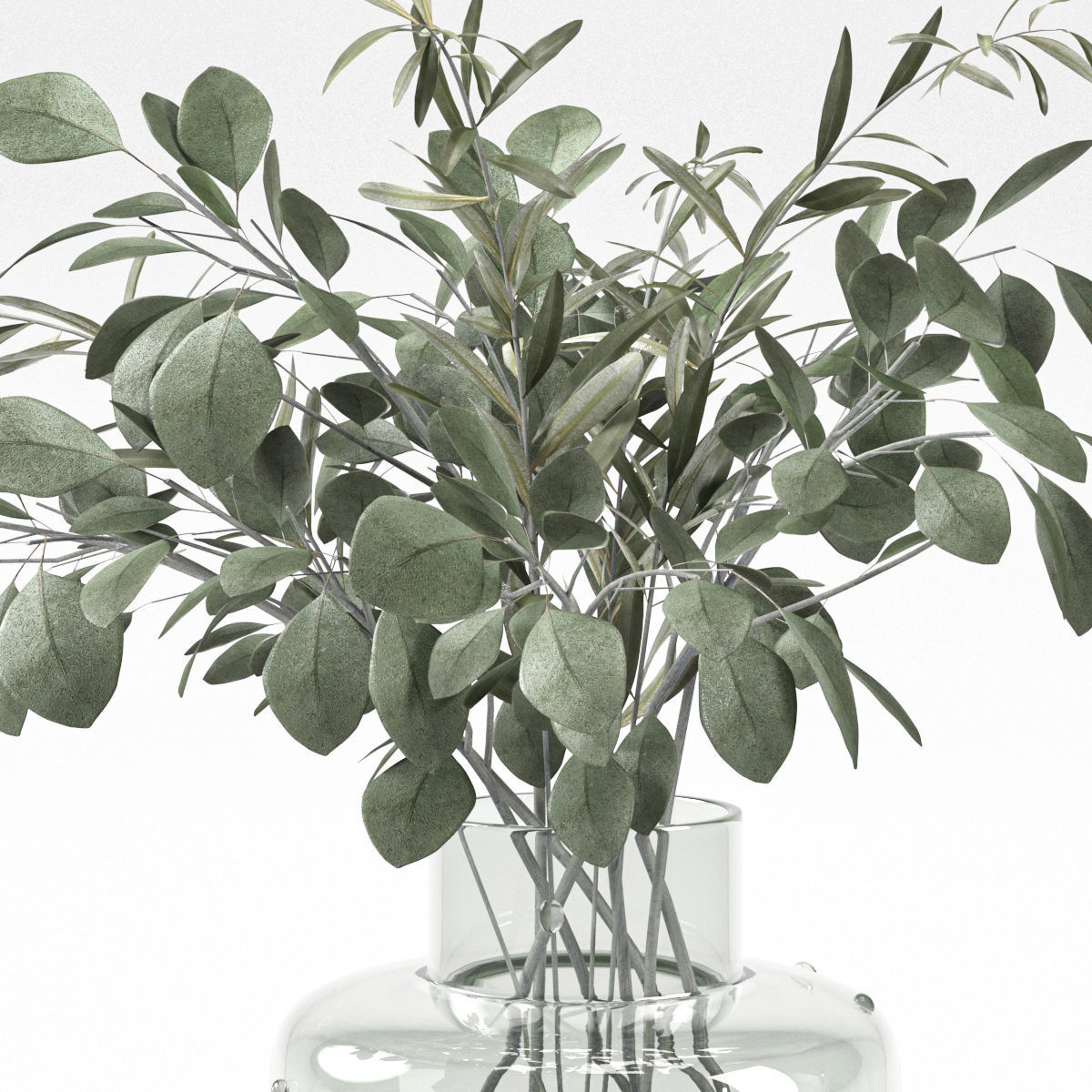 bouquet of eucalyptus and olive branch 3D model_2