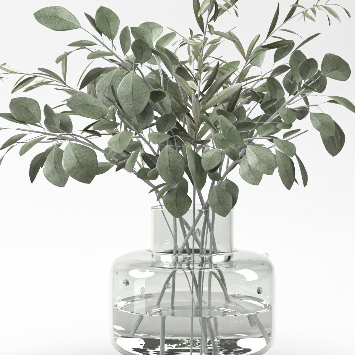 bouquet of eucalyptus and olive branch 3D model_1