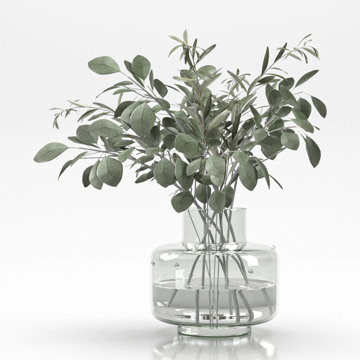 bouquet of eucalyptus and olive branch 3D model_3