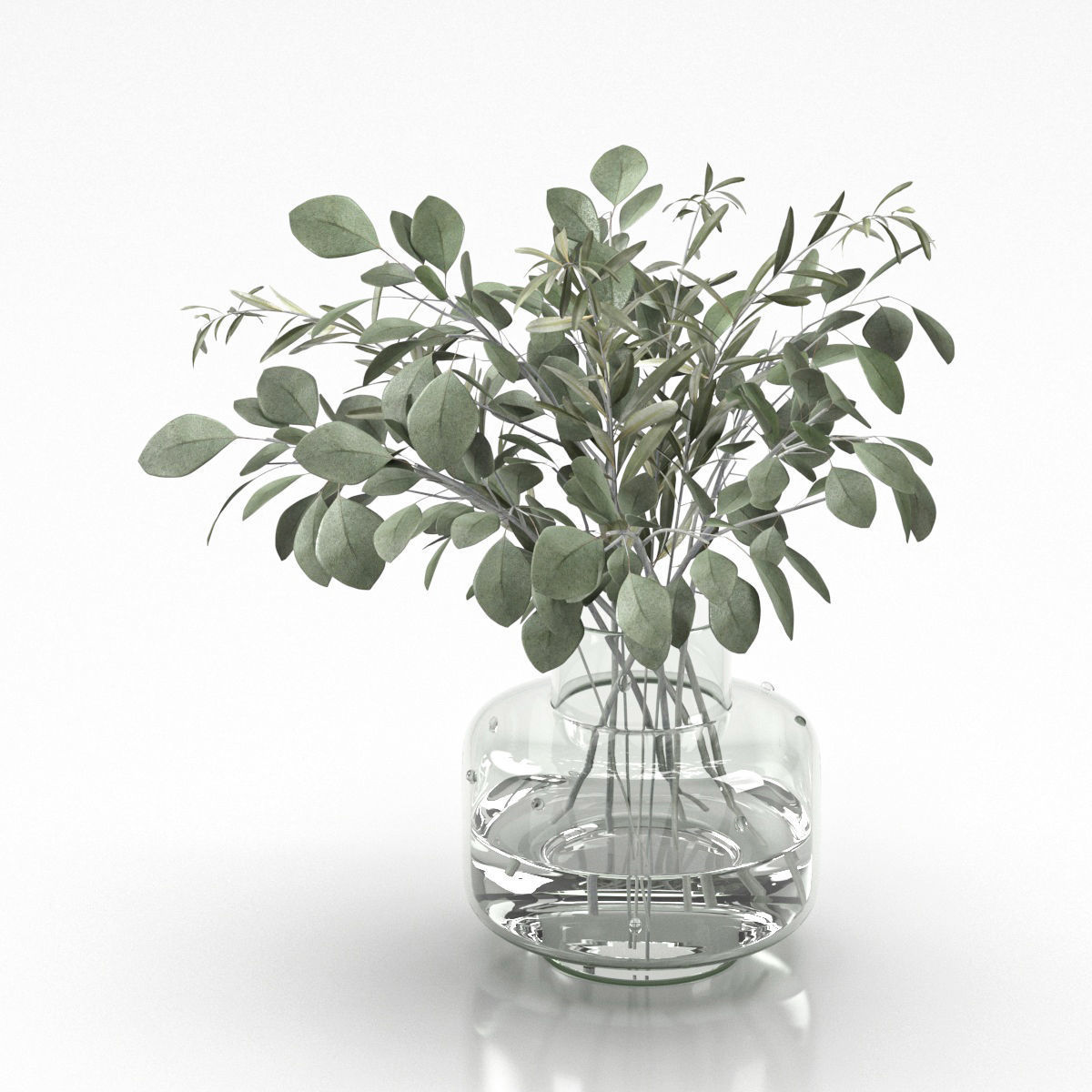 bouquet of eucalyptus and olive branch 3D model_4