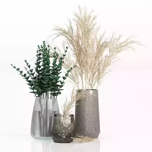 Pampas and Eucalyptus Branches in Vases 3D model