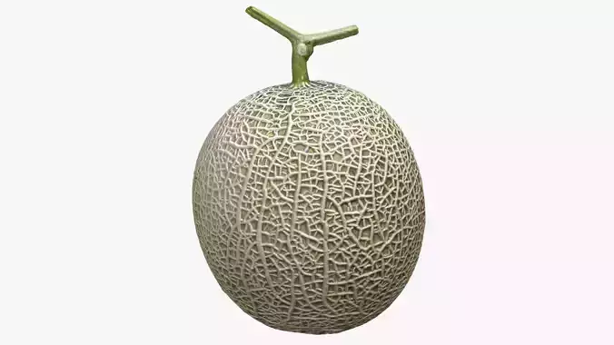 Melon