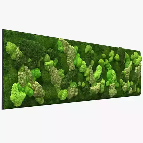 Reindeer Moss Wall Fur