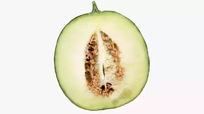 Melon half