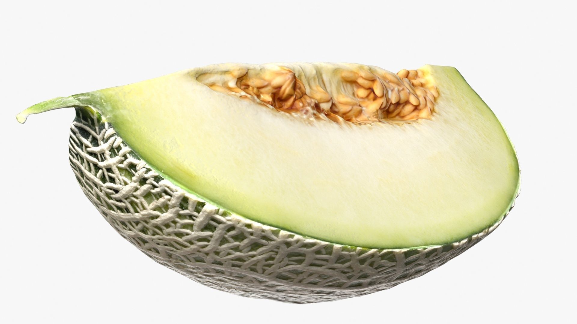 Melon Collection cut 3D model_11