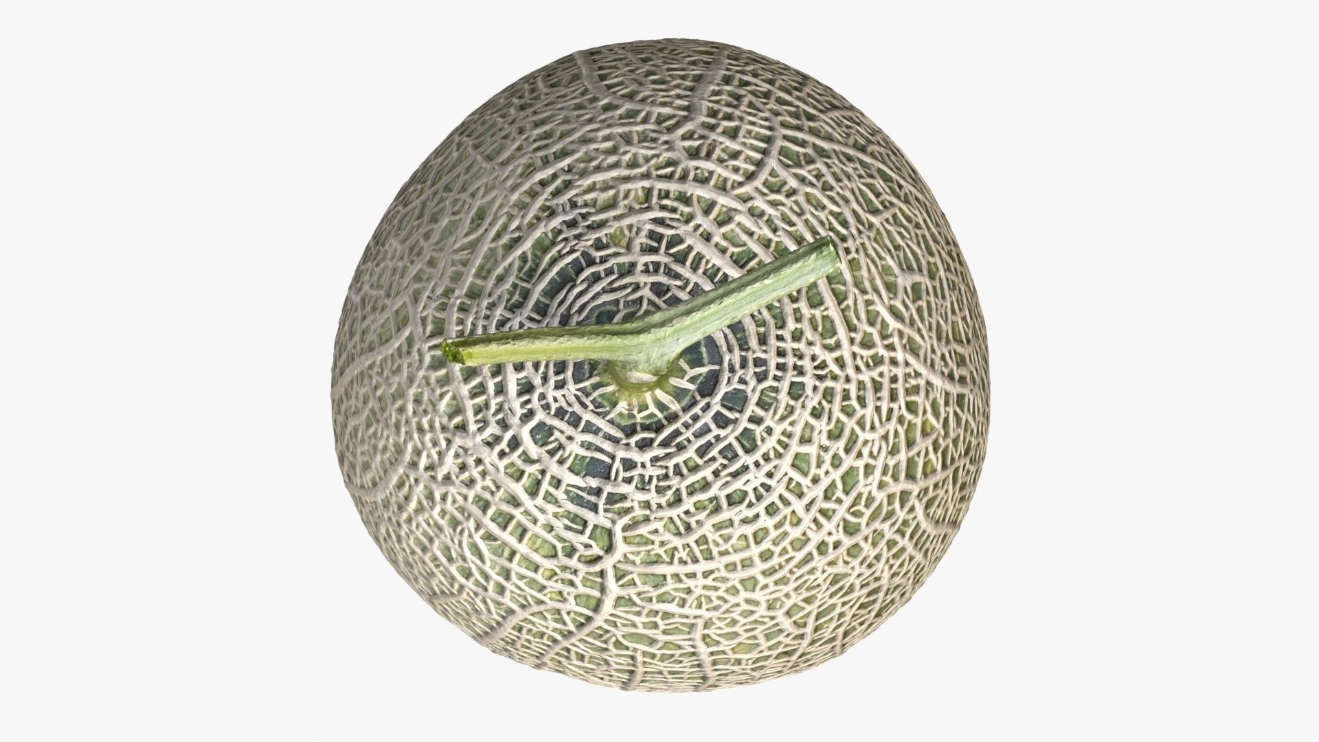 Melon Collection cut 3D model_6