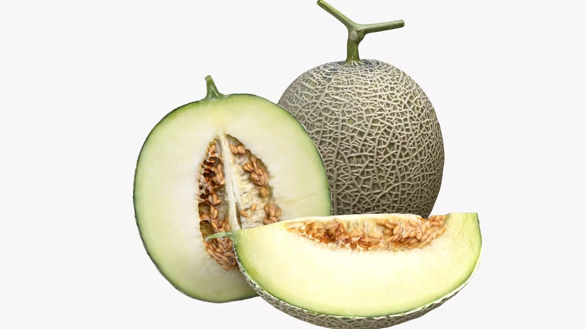 Melon Collection cut 3D model_0