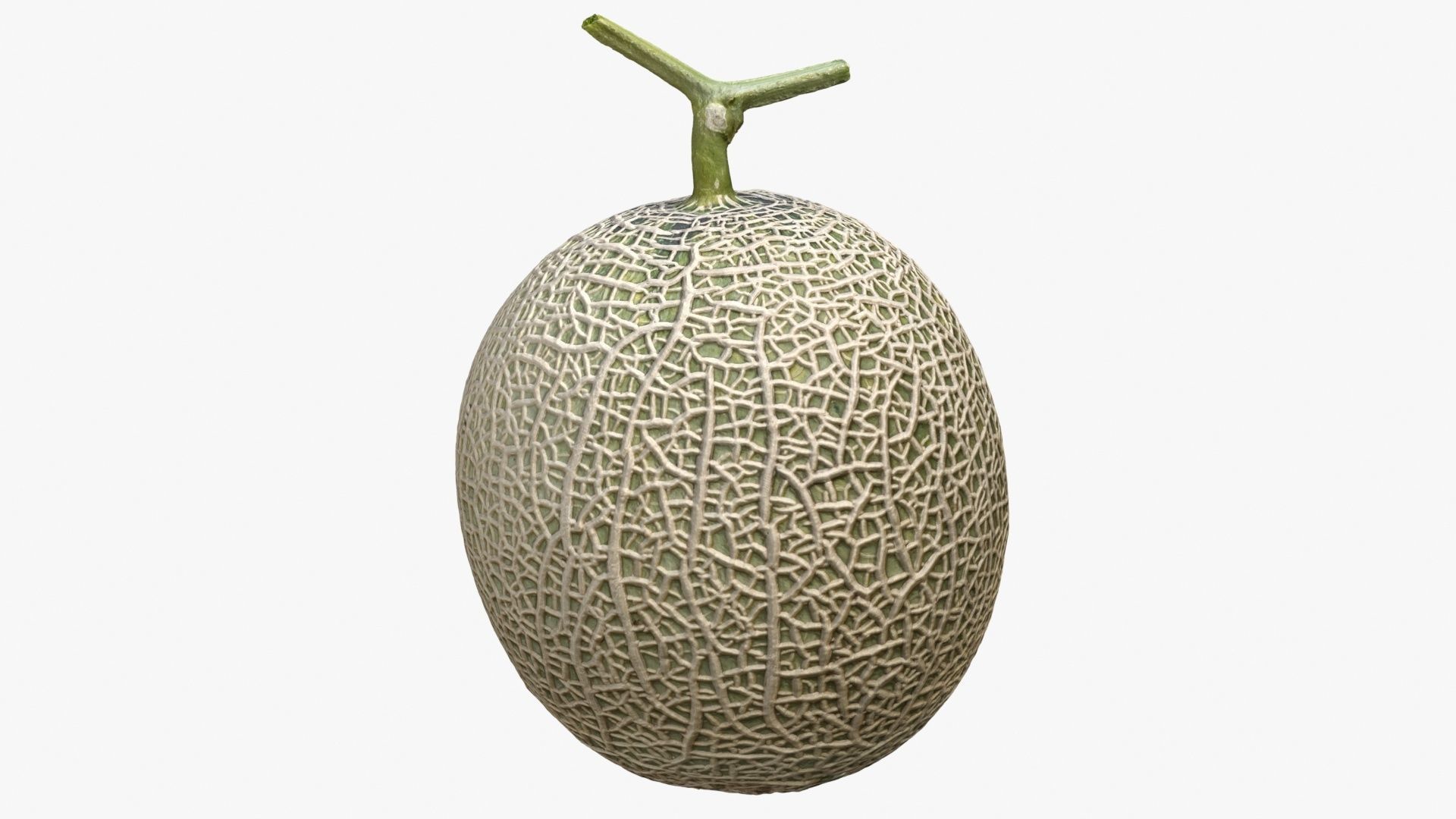 Melon Collection cut 3D model_4