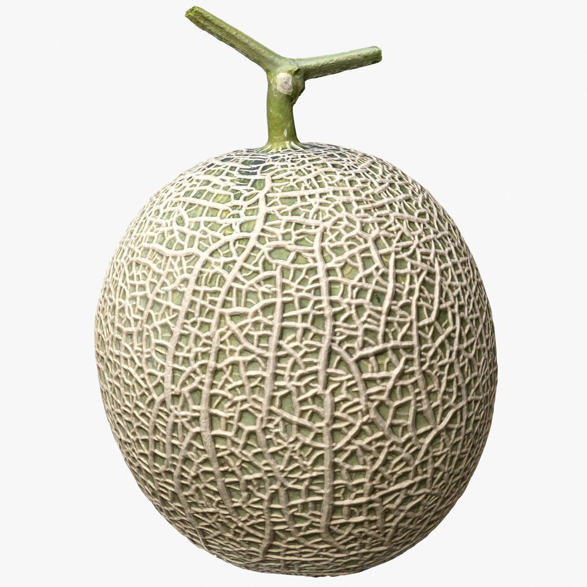 Melon Collection cut 3D model_5