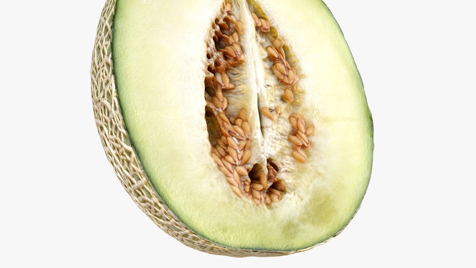 Melon Collection cut 3D model_10