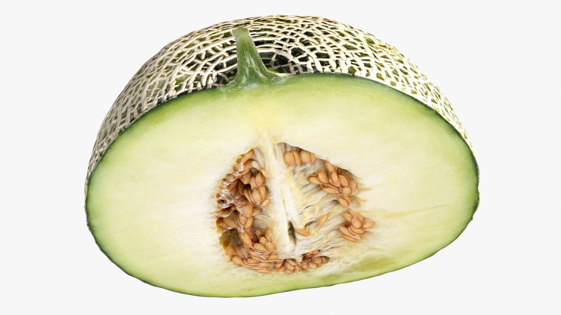 Melon Collection cut 3D model_9