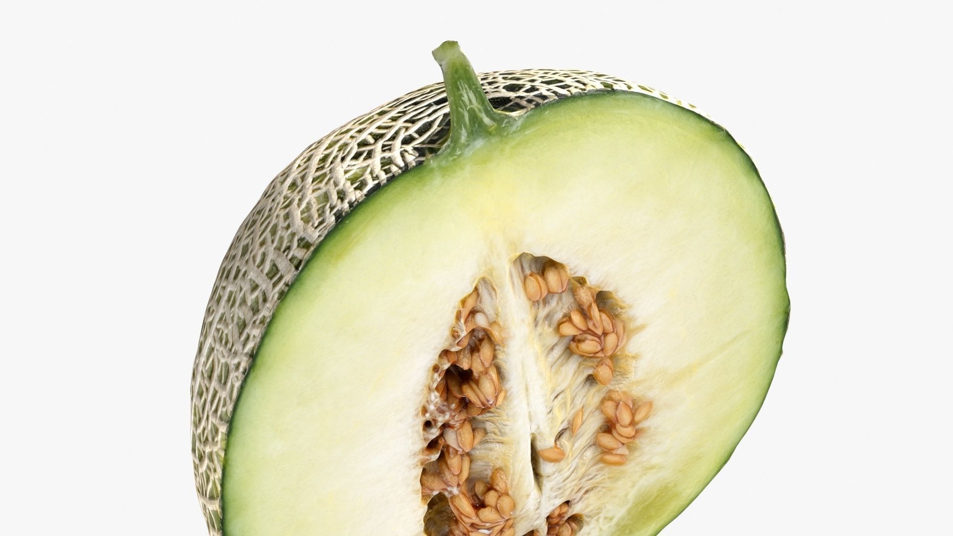 Melon Collection cut 3D model_8