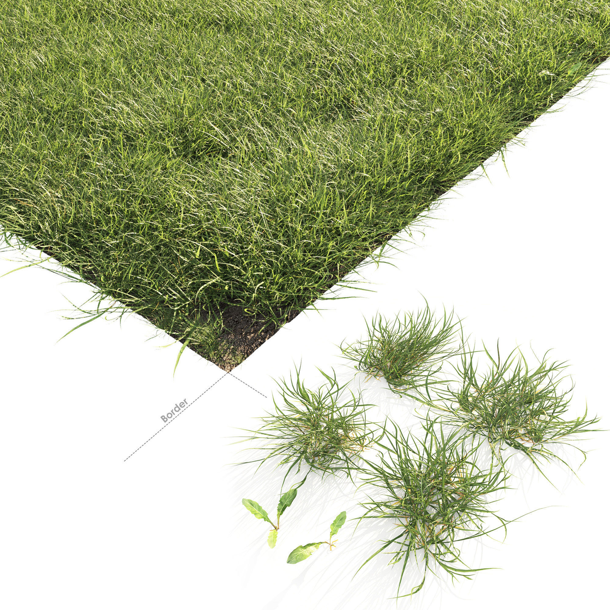 Lawn Grass 01 3D model_10