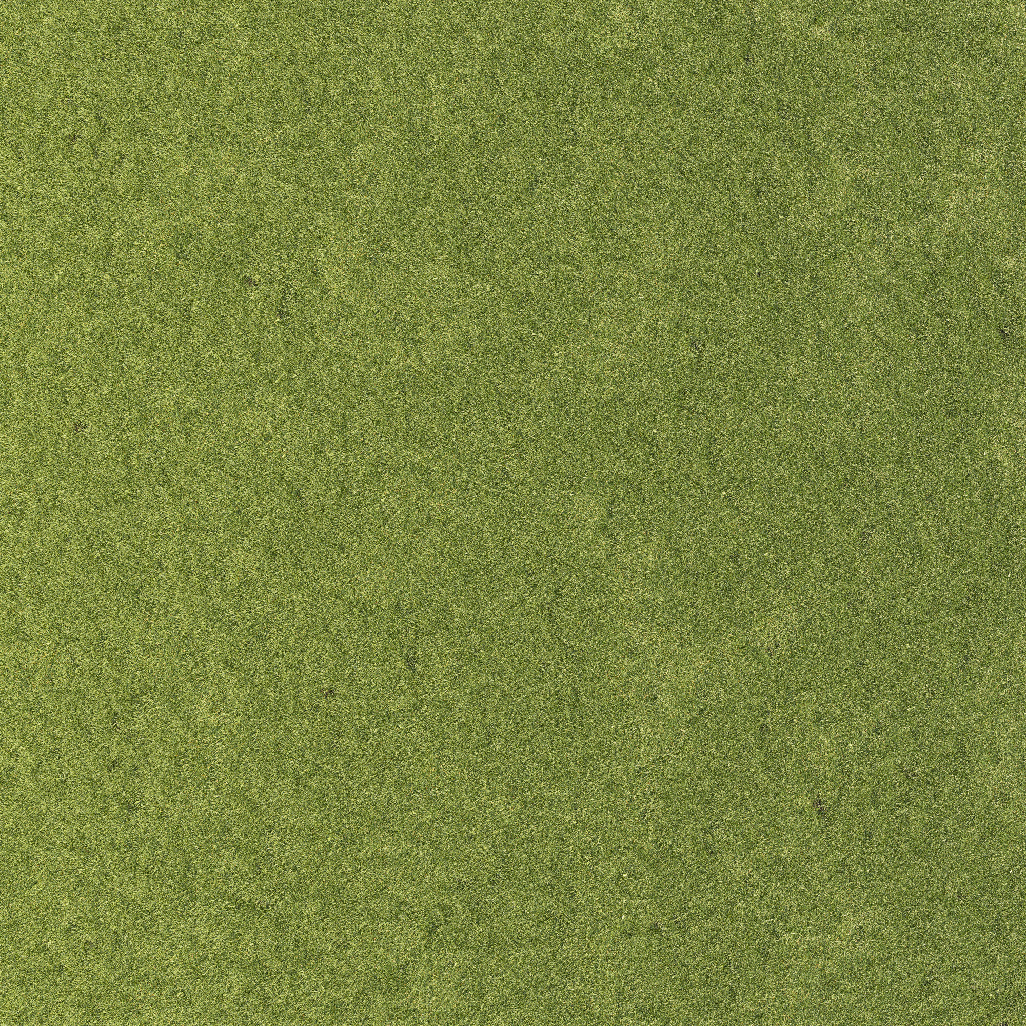 Lawn Grass 01 3D model_8