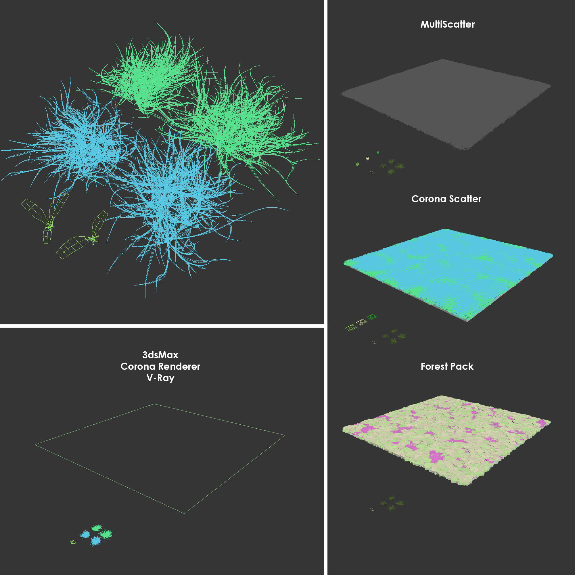 Lawn Grass 01 3D model_12